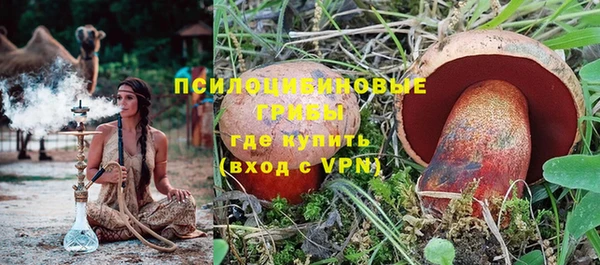 гидра Мегион