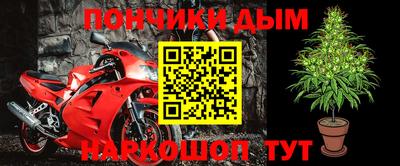 прущие крисы Будённовск