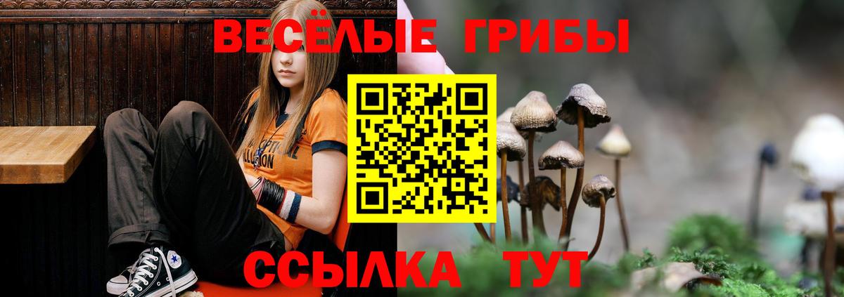 Псилоцибиновые грибы MAGIC MUSHROOMS Мирный